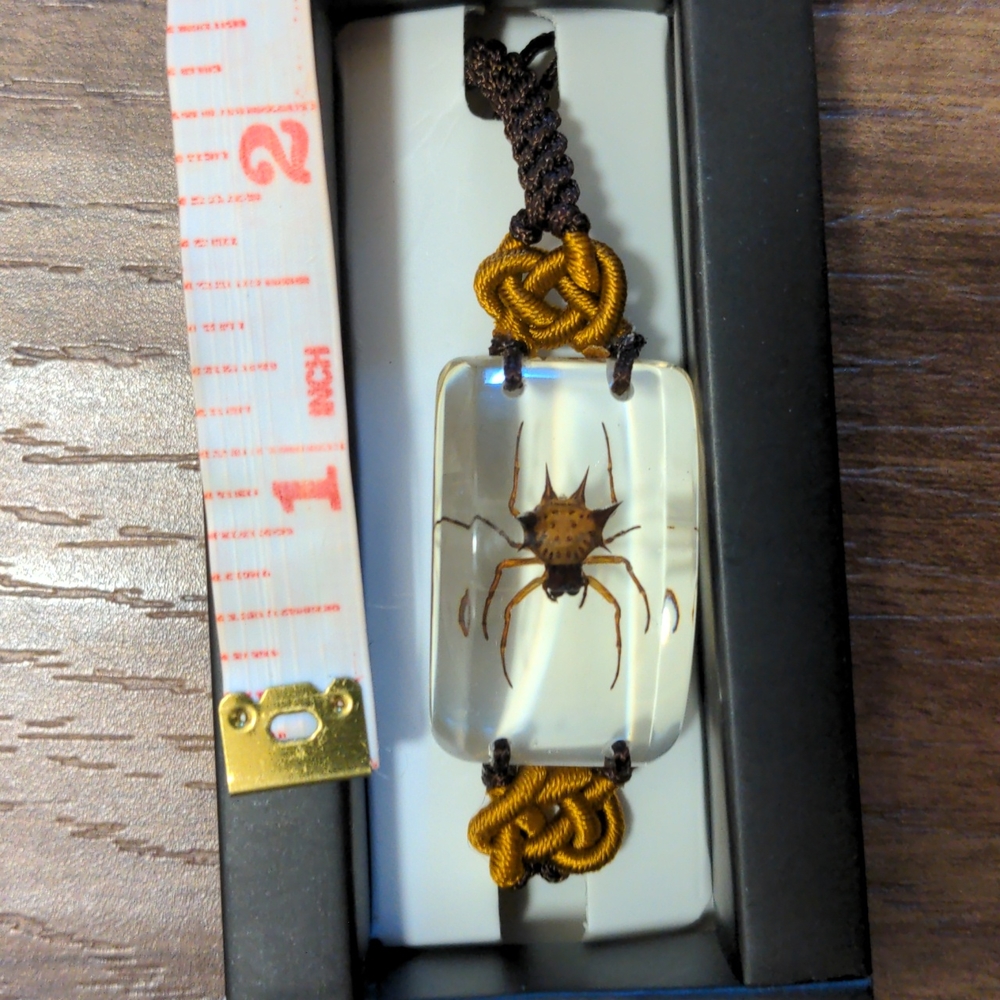 Ambor Insect Spiny Spider Bracelet - Picture 4 of 4
